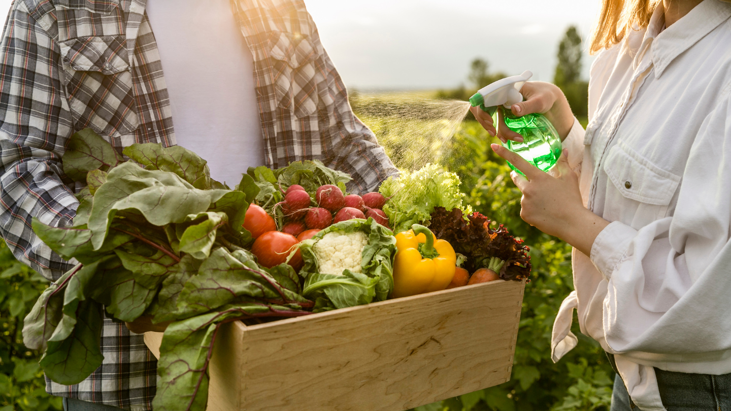 Descubra como a produção ecológica na agricultura familiar está moldando um futuro mais verde e justo, promovendo sustentabilidade para gerações futuras.